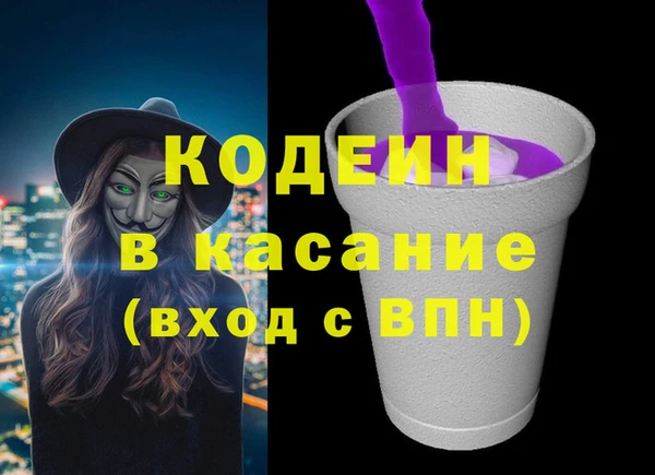 амф Вяземский